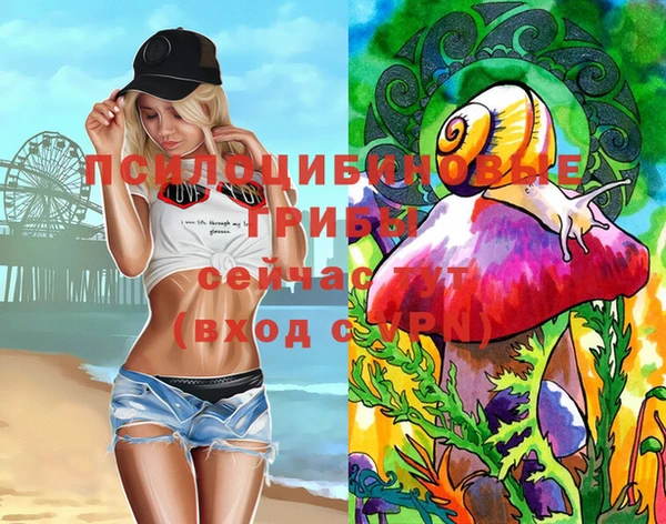 ГАЛЛЮЦИНОГЕННЫЕ ГРИБЫ Алзамай