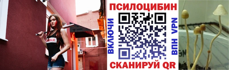 Галлюциногенные грибы прущие грибы  Шумиха 
